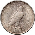 USA, dolar 1922, Peace