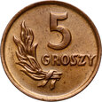 1. Polska, PRL, 5 groszy 1949