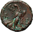 Cesarstwo Rzymskie, Klaudiusz II Gocki 268-270, tetradrachma bilonowa