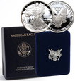67. USA, 1 dolar 1994 P, Liberty, 1 Oz Ag999