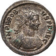 Cesarstwo Rzymskie, Probus 276-282, antoninian, Rzym