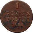 Królestwo Polskie, 1 grosz polski 1830 FH, Warszawa 