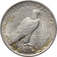 USA, dolar 1923, Peace