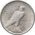 USA, dolar 1922, Peace