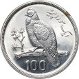 zdjęcie główne