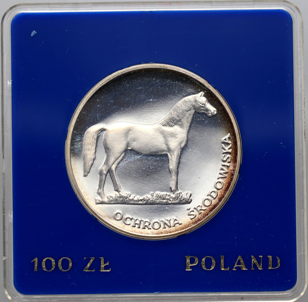 18. Polska, PRL, 100 złotych 1981, Ochrona Środowiska - Koń