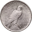 USA, dolar 1922, Peace