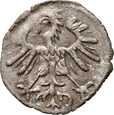 103. Polska, Zygmunt II August, denar litewski 1554, (R3), #PW