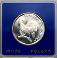 zdjęcie główne