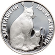zdjęcie główne