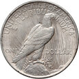 USA, dolar 1922, Peace