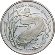 zdjęcie główne