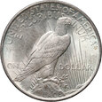 221. USA, 1 dolar 1923, Peace