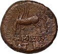 Grecja, Pont, Amisos, Mitrydates VI Eupator 120-63 p.n.e., brąz