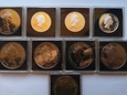 Kolekcja Zwierzęta COOK ISLANDS 1990 1991 1992 zestaw 9 monet