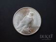 Moneta 1 Dolar USA 1924 rok - Typ Peace - stan: 1 / -1