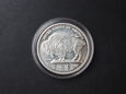 Moneta Indianin / Bizon / Buffalo USA - 1 uncja srebra 999