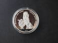 Srebrna moneta / numizmat 