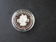 Srebrna moneta / numizmat ECU 1996 r. - Niemcy - Europa