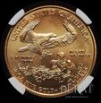 10 Dolarów USA - 2019 r. -  Amerykański złoty orzeł - 1/4 Oz 999
