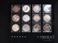 Kolekcja 29 srebrnych monet - Fabulous Silver Collection 