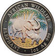 Somalia - 100 szylingów 2007 - słonie - emalia