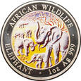 Somalia - 100 szylingów 2008 - słonie - emalia