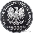 5000 ZŁOTYCH 1989 - RATUJMY ZABYTKI TORUNIA - MENNICZA