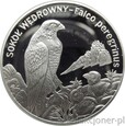 20 ZŁOTYCH 2008 - SOKÓŁ WĘDROWNY - MENNICZA