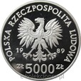 5000 ZŁ 1989 - JAGIEŁŁO PÓŁPOSTAĆ - MENNICZA - PROMO