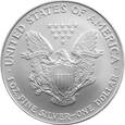 USA 1 dolar, 2007 Amerykański Orzeł, 1 Oz (#2021_04_013)