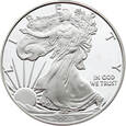 2008-W 1 Dollar 1-oz Silver Eagle (#2020_10_004)
