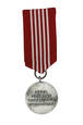 Medal - Rada Ochrony Pamięci Walk i Męczeństwa (2020_01_101c)
