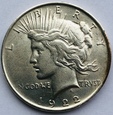Dolar Pokoju 1922 liberty, patyna (2021_11_089g)