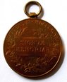 F19948 AUSTRIA medal SIGNUM MEMORIAE 1898