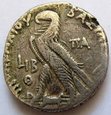 F13411 EGIPT PTOLEMEUSZ X tetradrachma
