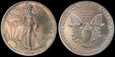 USA, 1 Dollar 1990, Orzeł, Ag 0.9999 1 oz