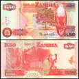 ZAMBIA, 50 KWACHA 2008 Pick 37g