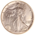 USA, Dollar  1989 Liberty Ag 1 Oz