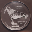 Kongo, 10 Francs 2008 Mors Arktyczny Zwierzęta Akryl