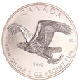 Kanada, 5 Dolarów 2014 Sokół Wędrowny 1 Oz Ag 999