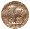 USA, 5 Centów 1936 Indianin