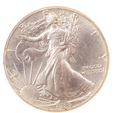 USA, Dollar  1989 Liberty Ag 1 Oz