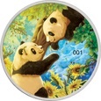 30 g, Chińska Panda, Four Seasons: SUMMER, Srebrna moneta
