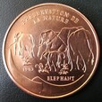 Kongo 100 franków 1993 Słoń