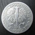 5 złotych 1959 Rybak SŁONECZKO