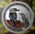Australia 1 dolar 2017 KOOKABURRA uncja Ag 999 kolorowa w slabie