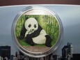 Chiny 10 YUAN 2015 Panda kolor