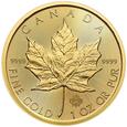 1 oz Au - 50$ Kanadyjski Liść Klonu - 2022 rok