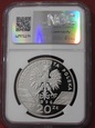 NGC 20 ZŁ 1995r JEŻ  PF69